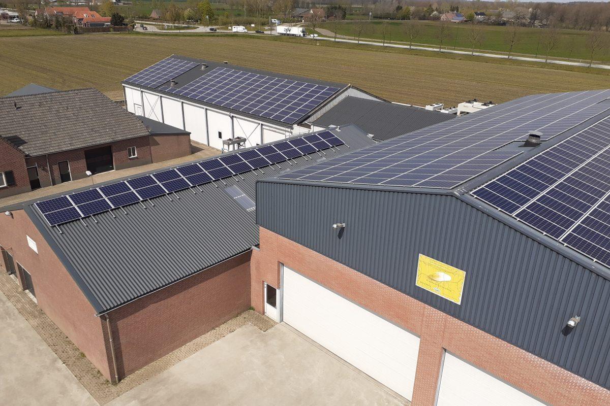 Witlofkwekerij Zonnenberg te Zeeland / 600 zonnepanelen