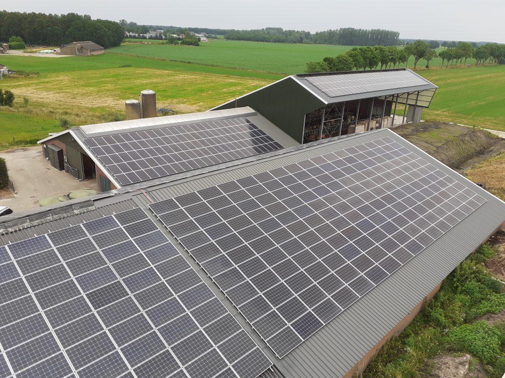 melkveebedrijf Vogels Mariahout / 1150 zonnepanelen