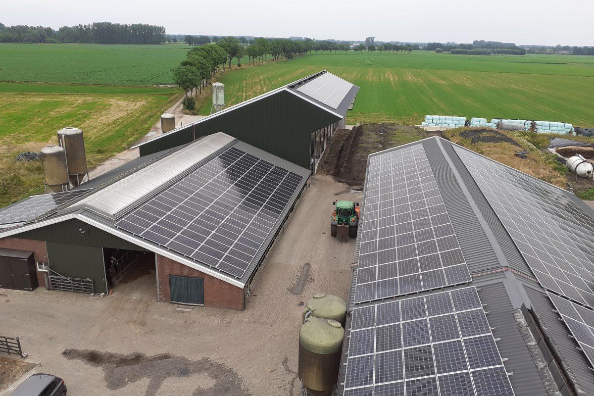 melkveebedrijf Vogels Mariahout / 1150 zonnepanelen